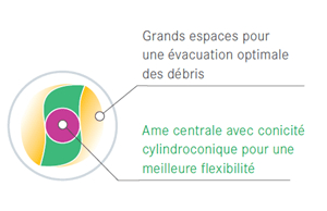 Informations sur le Procodile