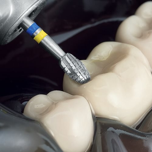 H379Q