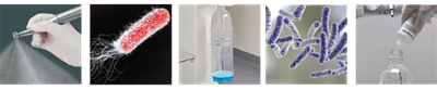qualité de l'eau - bactéries